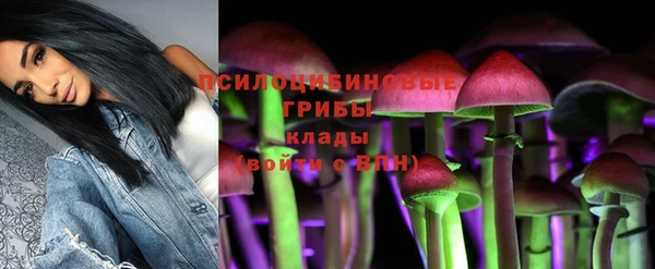 ПСИЛОЦИБИНОВЫЕ ГРИБЫ Инта