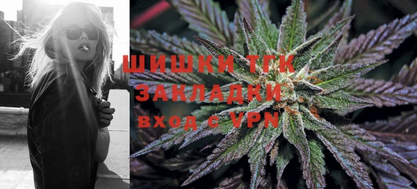 ПСИЛОЦИБИНОВЫЕ ГРИБЫ Инта