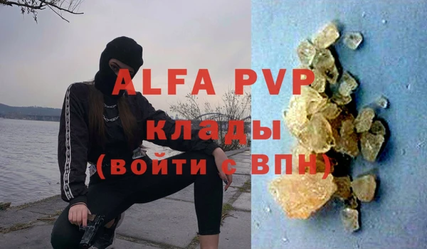 ПСИЛОЦИБИНОВЫЕ ГРИБЫ Инта