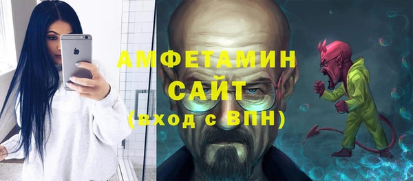 ПСИЛОЦИБИНОВЫЕ ГРИБЫ Инта